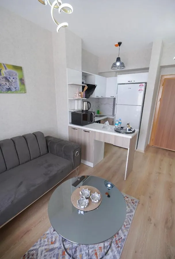 Apartment Classic Suite Ts23 Istanbul Turkey